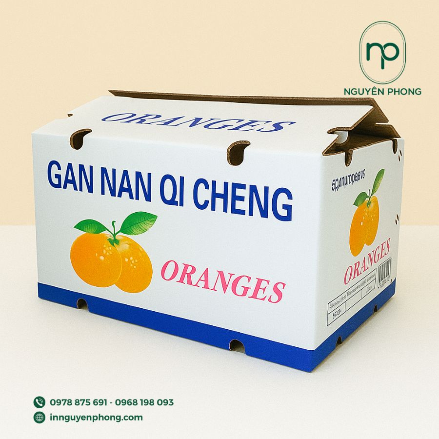in-thung-carton-dung-dua-gia-re-tai-ha-noi